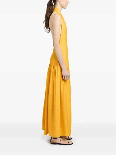 Proenza Schouler Tala Pleated Georgette Halterneck Maxi Dress In Yellow