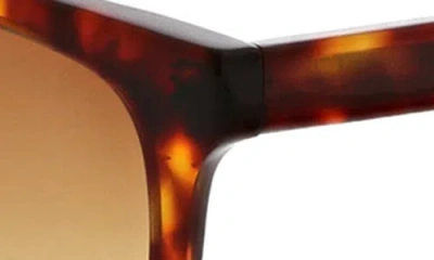 Bcbg 55mm Gradient Square Sunglasses