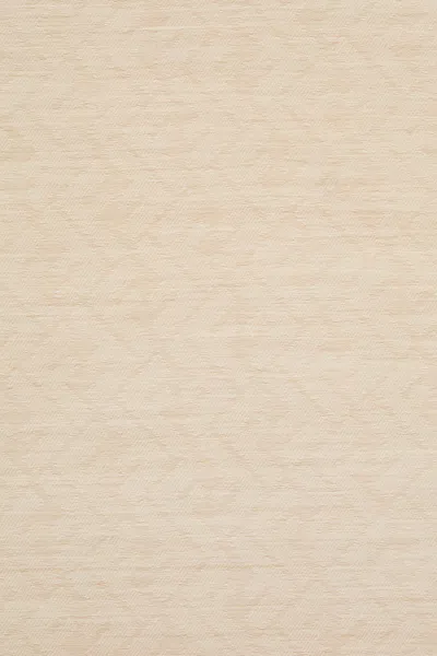 Fendi Cappuccino Silk Blend Scarf