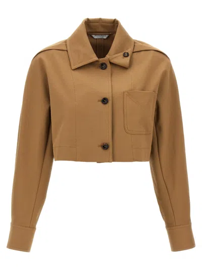 Max Mara Smalto Short Jacket In Gold