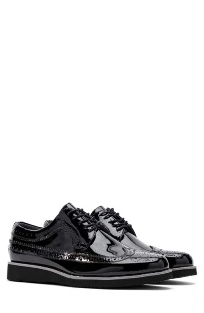 Marc Nolan Alexander Wingtip Derby