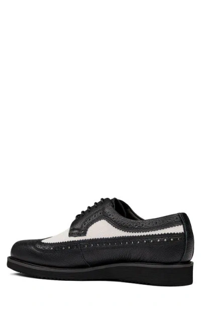 Marc Nolan Alexander Wingtip Derby