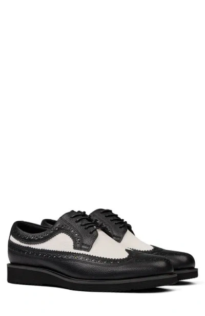 Marc Nolan Alexander Wingtip Derby