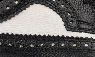 Marc Nolan Alexander Wingtip Derby