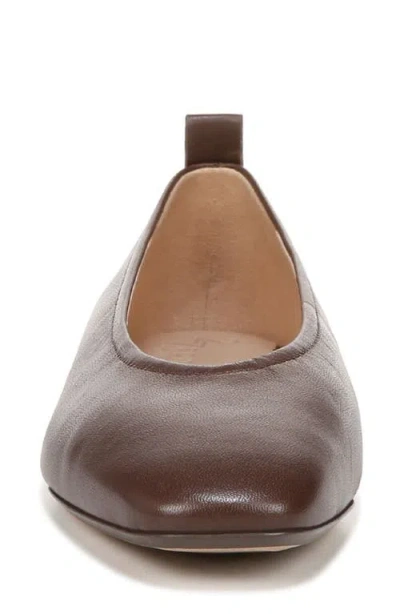 27 Edit Naturalizer Carla Flat In Brown