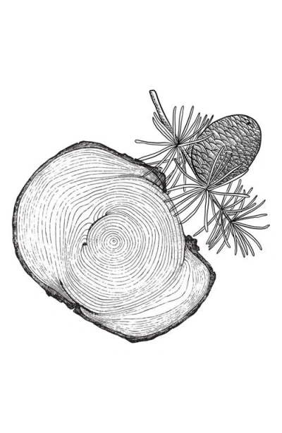 Amouage Decision Eau De Parfum