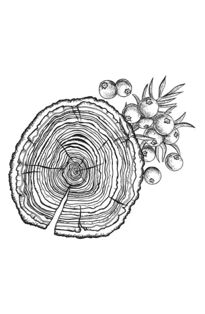 Amouage Decision Eau De Parfum