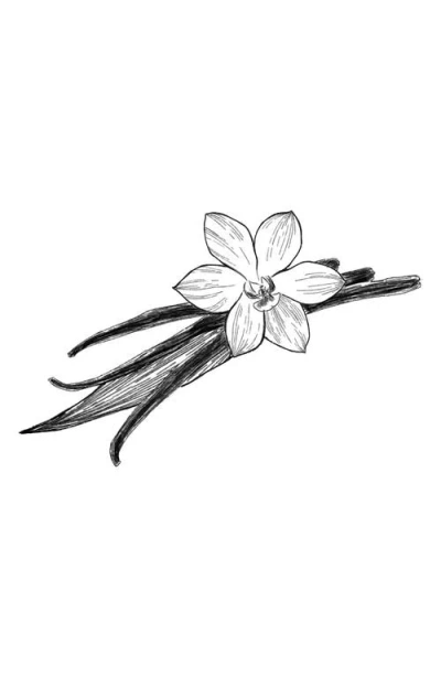 Amouage Decision Eau De Parfum