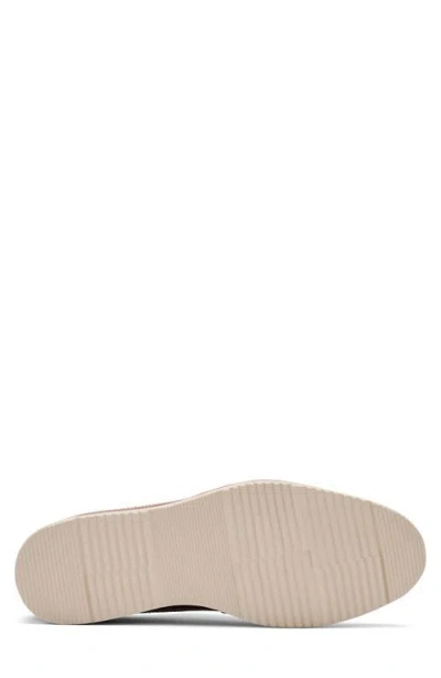 Marc Nolan Alexander Wingtip Derby