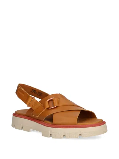 Sorel Rein Cb Crisscross Sandal In Multi