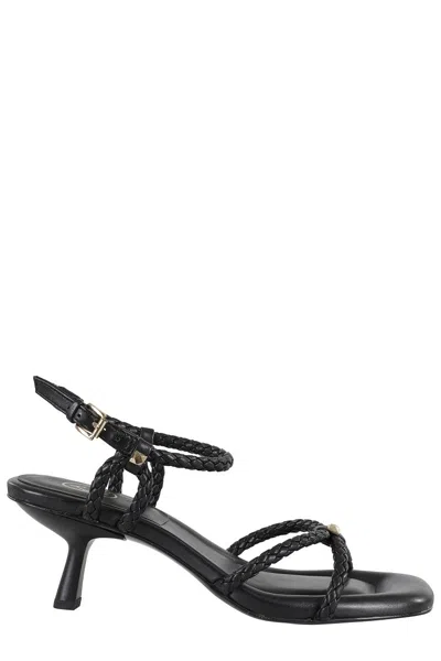 Ash Jess Bis Braided Strappy Sandal In Black