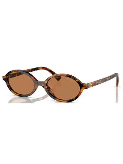 Miu Miu Round Acetate Sunglasses In Havana/brown
