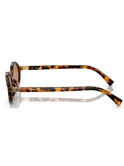 Miu Miu Round Acetate Sunglasses In Havana/brown