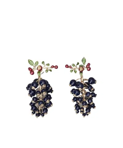 Roger Vivier Earrings In Multi