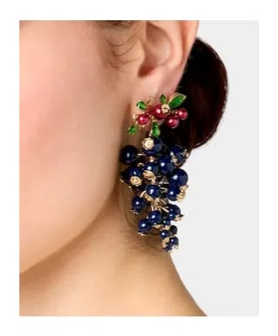 Roger Vivier Earrings In Multi