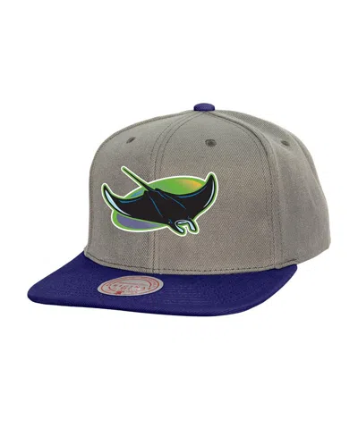 Mitchell & Ness Men's Gray Tampa Bay Rays Cooperstown Collection Basic Flip Snapback Hat