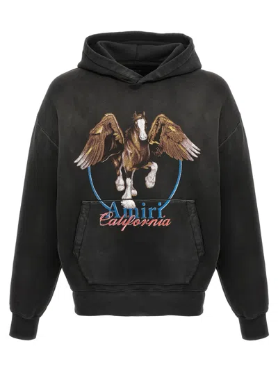 Amiri Pegasus Hoodie In Black