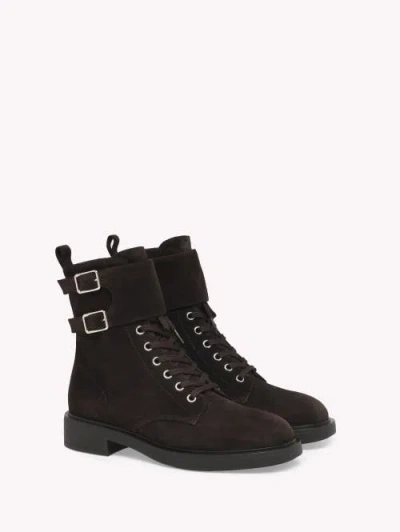 Gianvito Rossi Laced Ankle Boots In Brown