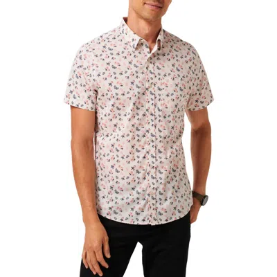 Travismathew Something New Floral Short Sleeve Stretch Cotton Blend Button-up Shirt In Multi