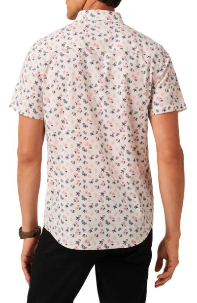 Travismathew Something New Floral Short Sleeve Stretch Cotton Blend Button-up Shirt In Multi