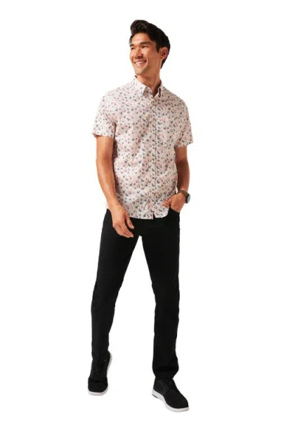 Travismathew Something New Floral Short Sleeve Stretch Cotton Blend Button-up Shirt In Multi