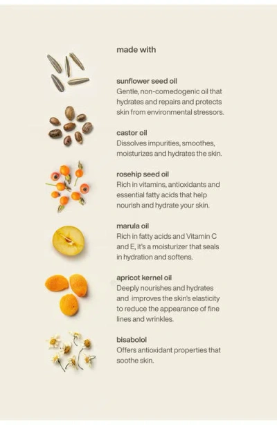 Evolvetogether Havana Nutrient Rich Body Cleanser