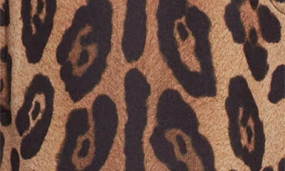 Dolce & Gabbana Jersey Jogging Pants With Leopard Print In Brown