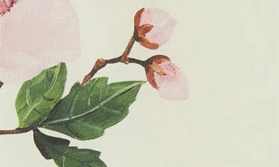 Oscar De La Renta Paneled Knitted And Floral-print Silk-blend Twill Tank In White