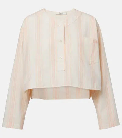 Chloé Long Sleeve Crop Top In Cotton