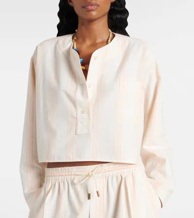 Chloé Long Sleeve Crop Top In Cotton