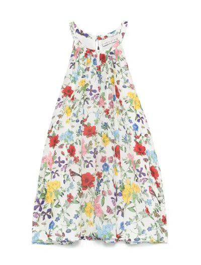 Alice And Olivia Diana Sleeveless Structured Midi Dress