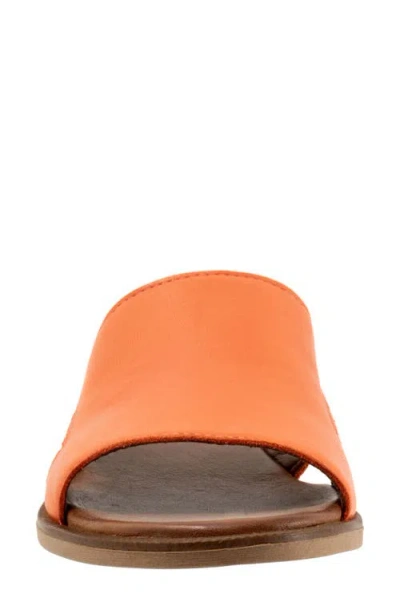 Bueno Hendrix Slide Sandal In Multi