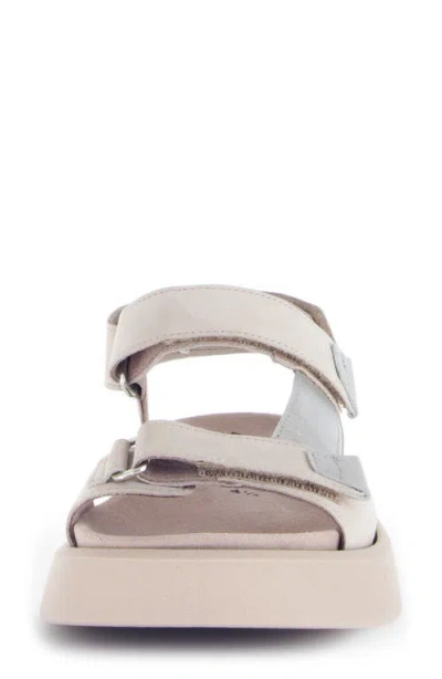 Gabor 62.862.31 Sandal In Multi