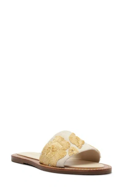 Arezzo Women's Dana Round Toe Flat Sandals