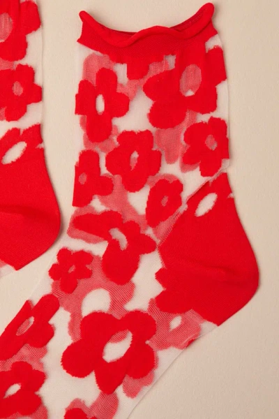 Hansel From Basel Pop Red Sheer Floral Socks In White