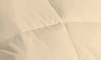 Luxury Home Solid Cream Microfiber Comforter