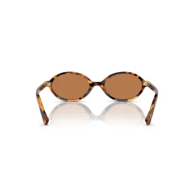 Miu Miu Round Acetate Sunglasses In Havana/brown