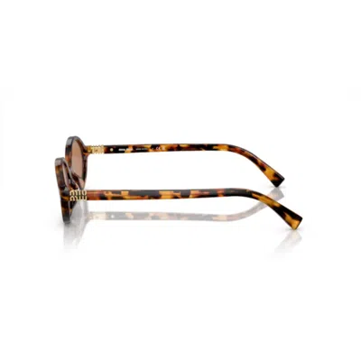 Miu Miu Round Acetate Sunglasses In Havana/brown