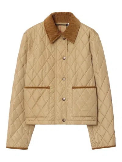Burberry Cotton-corduroy-trimmed Quilted Shell Jacket In Brown