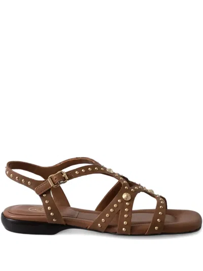 Ash Ruby Cinnamon Flat Sandal In Brown