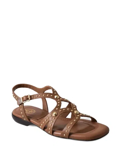 Ash Ruby Cinnamon Flat Sandal In Brown