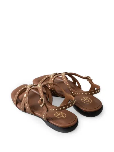 Ash Ruby Cinnamon Flat Sandal In Brown
