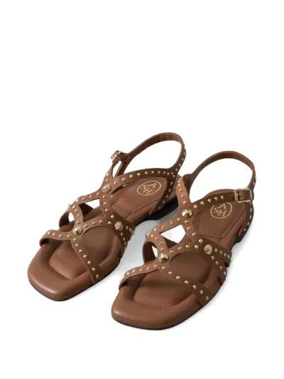 Ash Ruby Cinnamon Flat Sandal In Brown