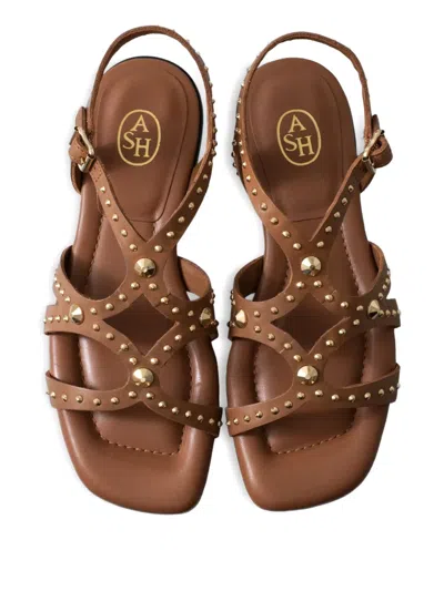 Ash Ruby Cinnamon Flat Sandal In Brown