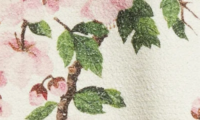 Oscar De La Renta Cherry Blossom Embroidered Cap Sleeve Dress In Pink