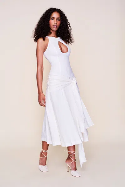 Danielle Guizio Ny Victoire Dress
