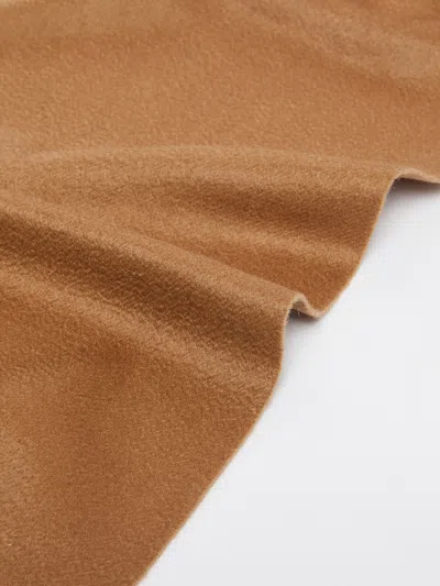 Max Mara Monogram Embroidered Cashmere Stole In Brown