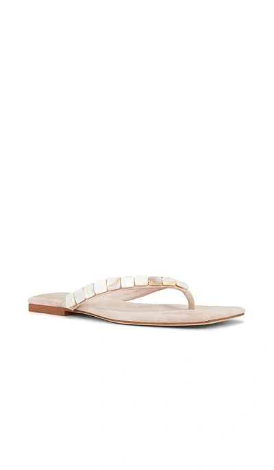 Jeffrey Campbell Raidne-sh Sandal
