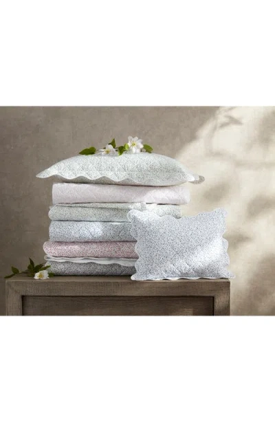 Matouk Celina Cotton Percale Quilted Sham