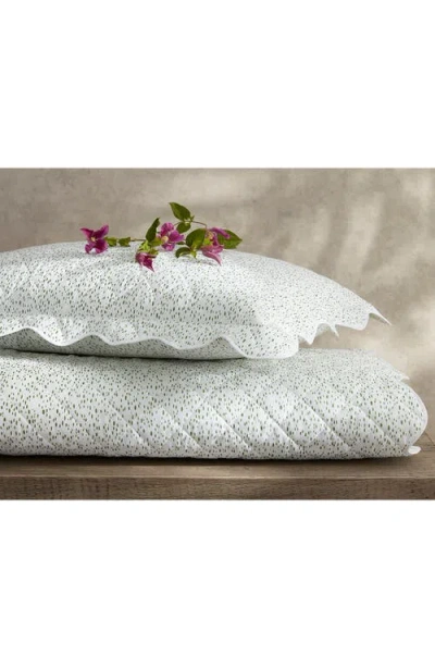 Matouk Celina Cotton Percale Quilted Sham